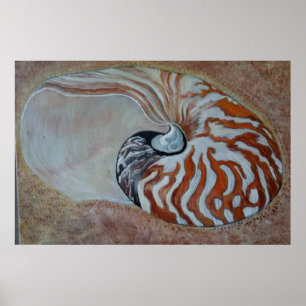 Affiches nautilus