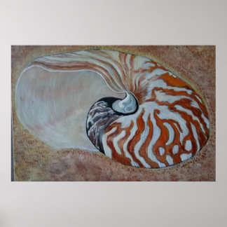 Affiches nautilus