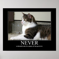 Ne jamais sous-estimer l'oeuvre de chats