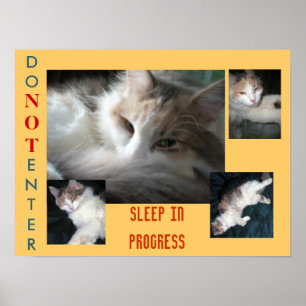 AFFICHES NE PAS ENTRER.....