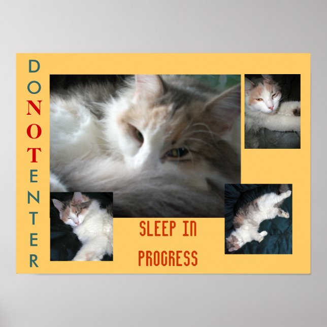 AFFICHES NE PAS ENTRER..... (Devant)