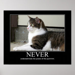 Affiches Ne sous-estimez jamais l'illustration de chat