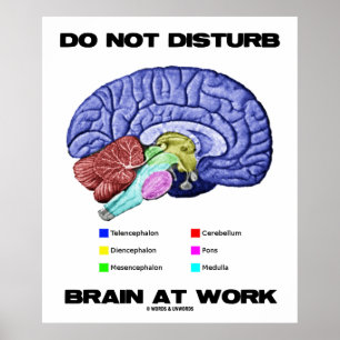 Affiches Ne touchez pas au cerveau au travail (l'humour