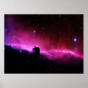 Affiches Nebula à tête de cheval