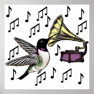 Affiches Nectar auditif