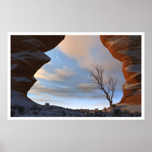 Affiches Neige du désert