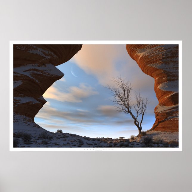 Affiches Neige du désert (Devant)