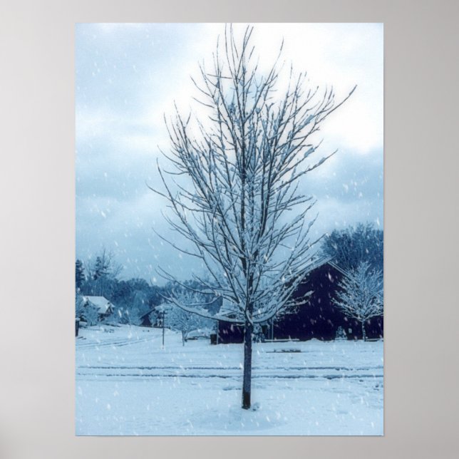 Affiches Neige hivernale (Devant)