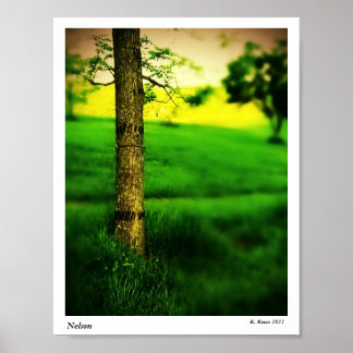 Affiches Nelson