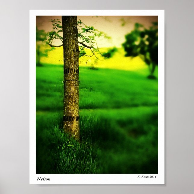 Affiches Nelson (Devant)