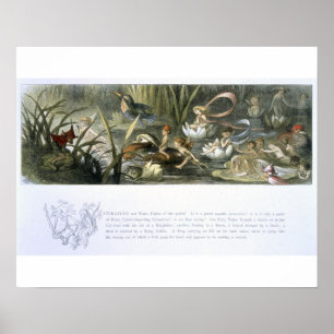 Affiches Nénuphars et fées de l'eau, illustration de