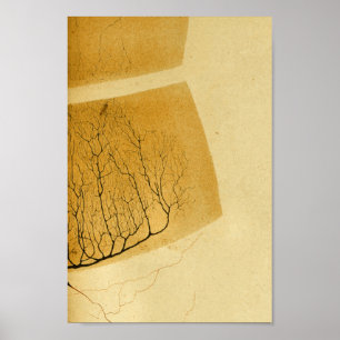 Affiches Nerfs vintages du système nerveux central 1886