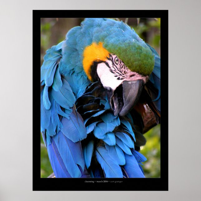 Affiches Nettoyer (Devant)