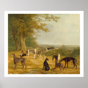 Affiches Neuf Greyhounds dans un paysage (huile sur toile)