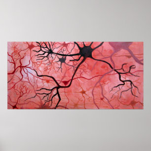 Affiches Neurons canvés