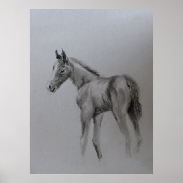 Affiches New Baby (Devant)