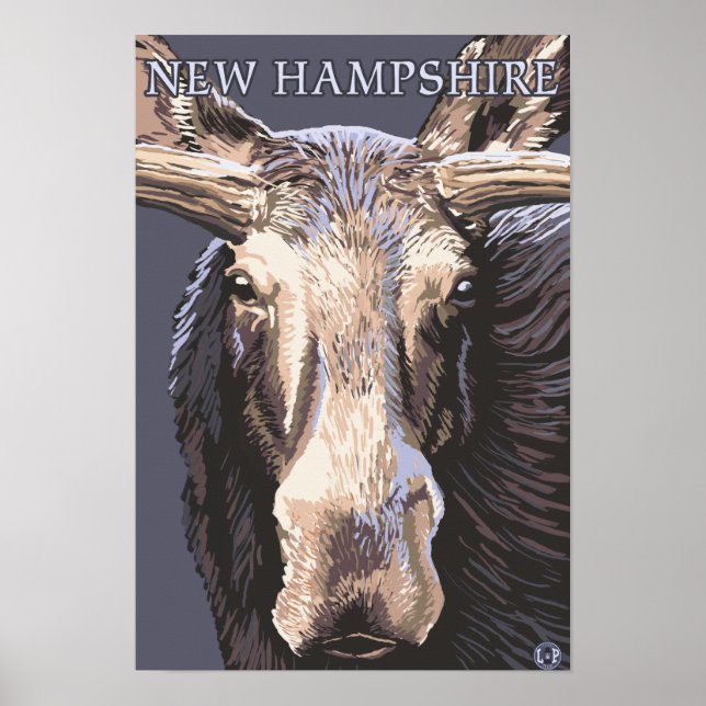 Affiches New HampshireMoose près (Devant)