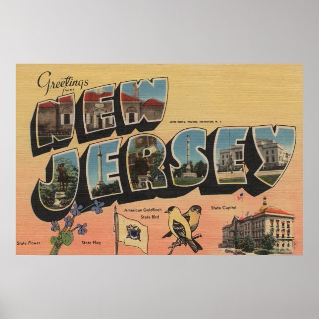 Affiches New Jersey (Capitale Nationale/Fleur/Oiseau) (Devant)