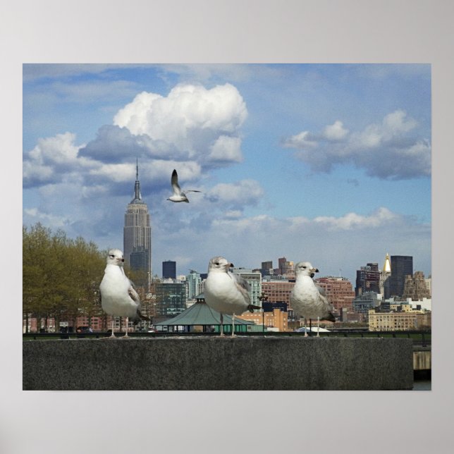 Affiches New York Skyline avec mouettes (Devant)