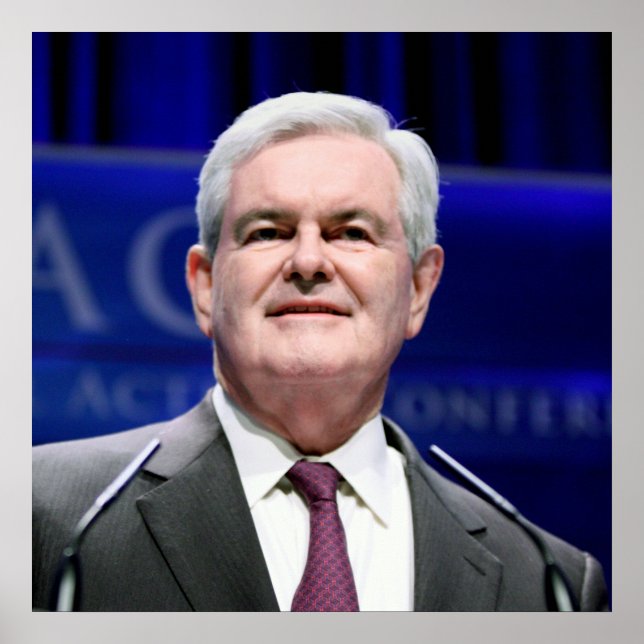 Affiches Newt Gingrich (Devant)