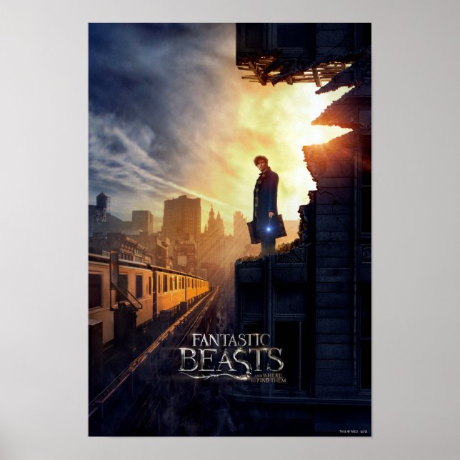 Affiches NEWT SCAMANDER™ dans un bâtiment détruit (Devant)