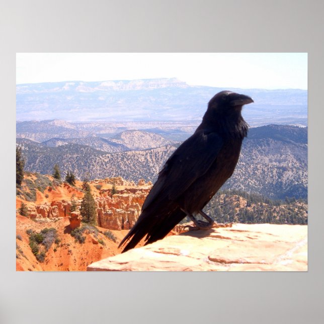 Affiches NG Crow (Devant)