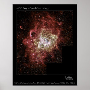 AFFICHES NGC 604