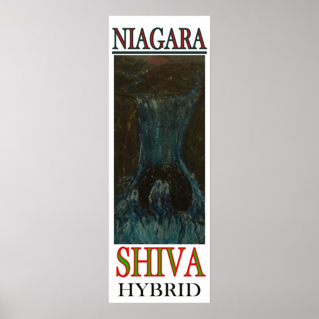 AFFICHES NIAGARA SHIVA HYBRID (Devant)