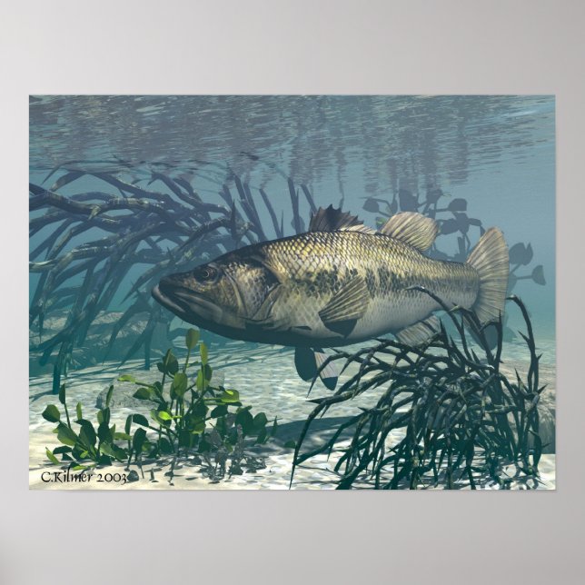 Affiches Nice Catch (Devant)