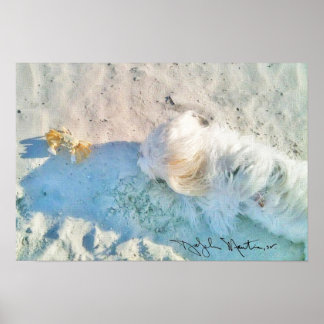 Affiches Nicholas & Friend