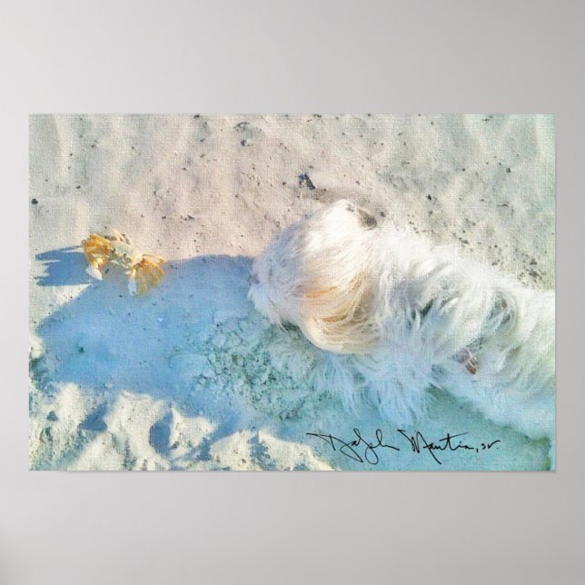 Affiches Nicholas & Friend (Devant)