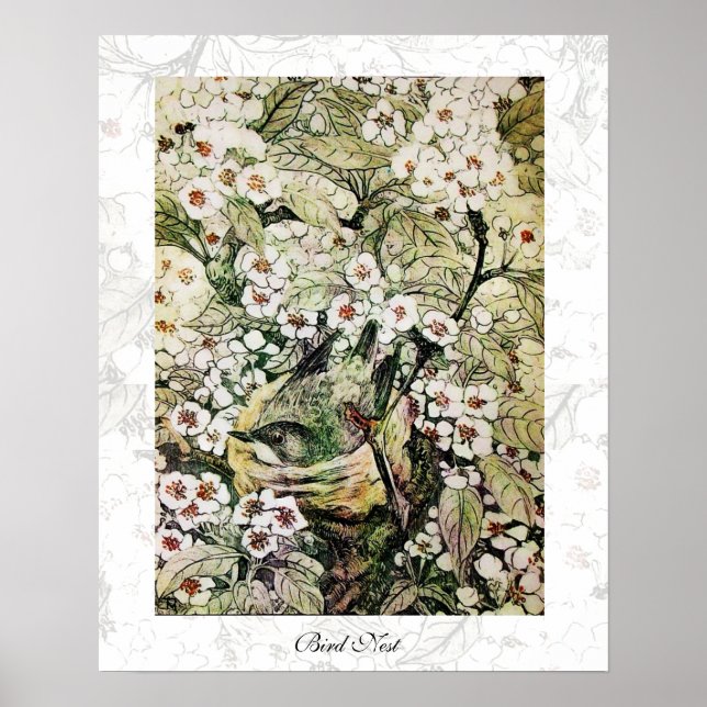 Affiches NID D'OISEAU, blanc marron vert jaune (Devant)