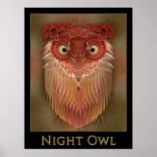 Affiches Night Owl