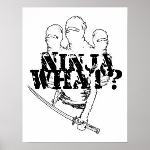 AFFICHES NINJA WHAT?