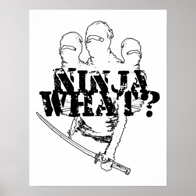 AFFICHES NINJA WHAT? (Devant)