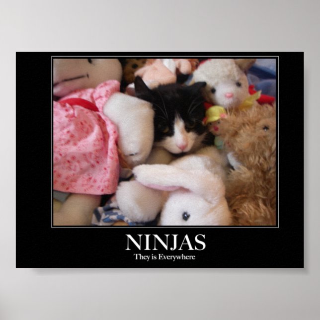 Affiches Ninjas - Ils sont partout (Devant)