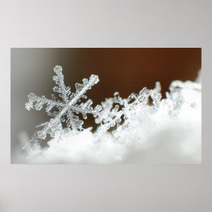 Affiches Noël Blizzard 2009