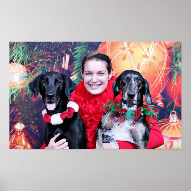 Affiches Noël - Catahoula Brita et Labrador Cooper (Devant)