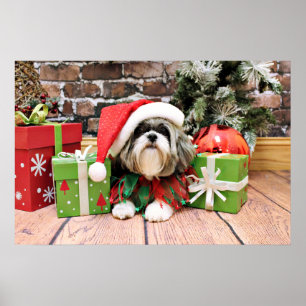 Affiches Noël - Shih Tzu - Vince