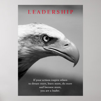Affiches Noir Blanc Motivation Leadership Oeil d'aigle
