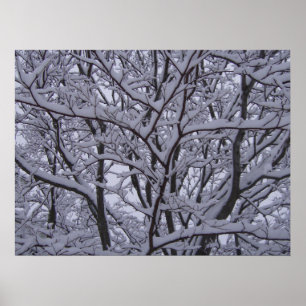 Affiches Noir et blanc