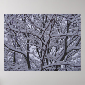 Affiches Noir et blanc