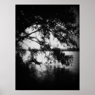 Affiches Noir et blanc