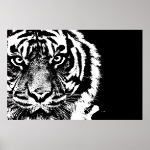 Affiches Noir et blanc Sumatran Borneo Tiger