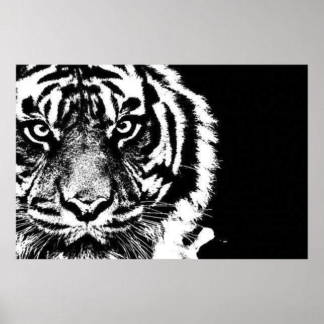 Affiches Noir et blanc Sumatran Borneo Tiger (Devant)