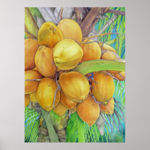 Affiches Noix de coco d'or