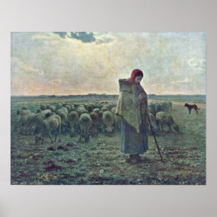 Affiches non défini