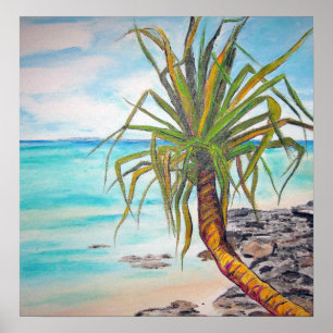 Affiches Noosa Pandanas
