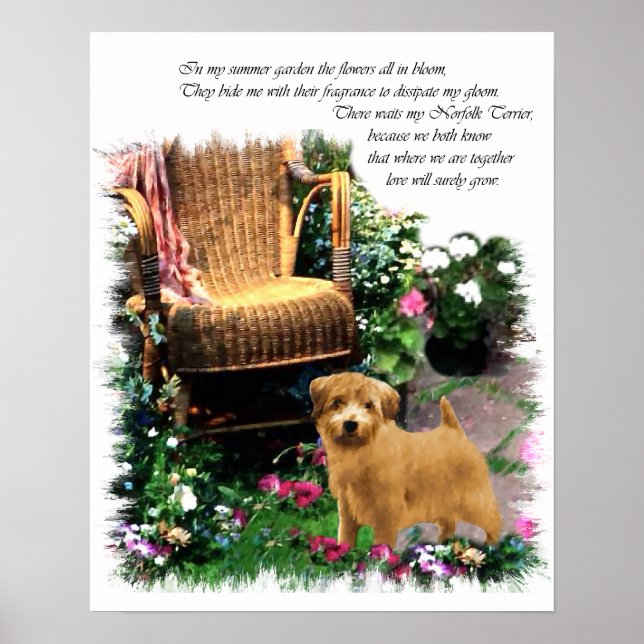 Affiches Norfolk Terrier Art Imprimer (Devant)