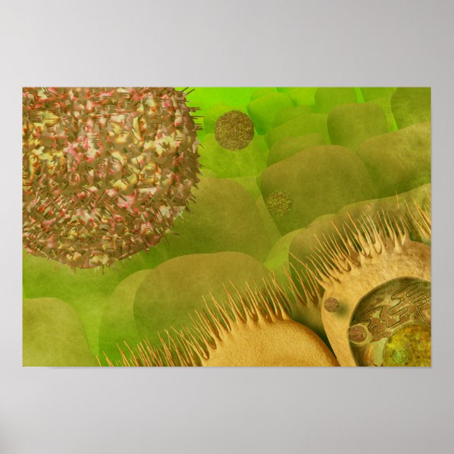 Affiches Norovirus dans le tractus gastro-intestinal (Devant)